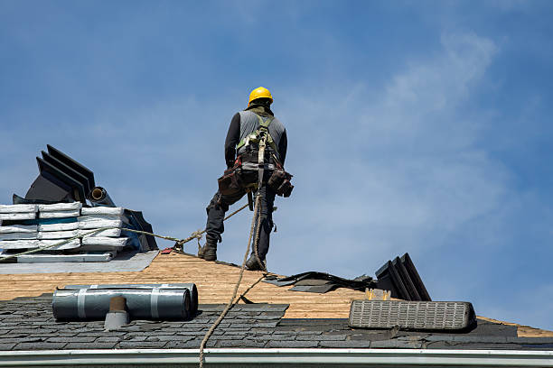 Professional Roofing technician working in Dalbo, MN